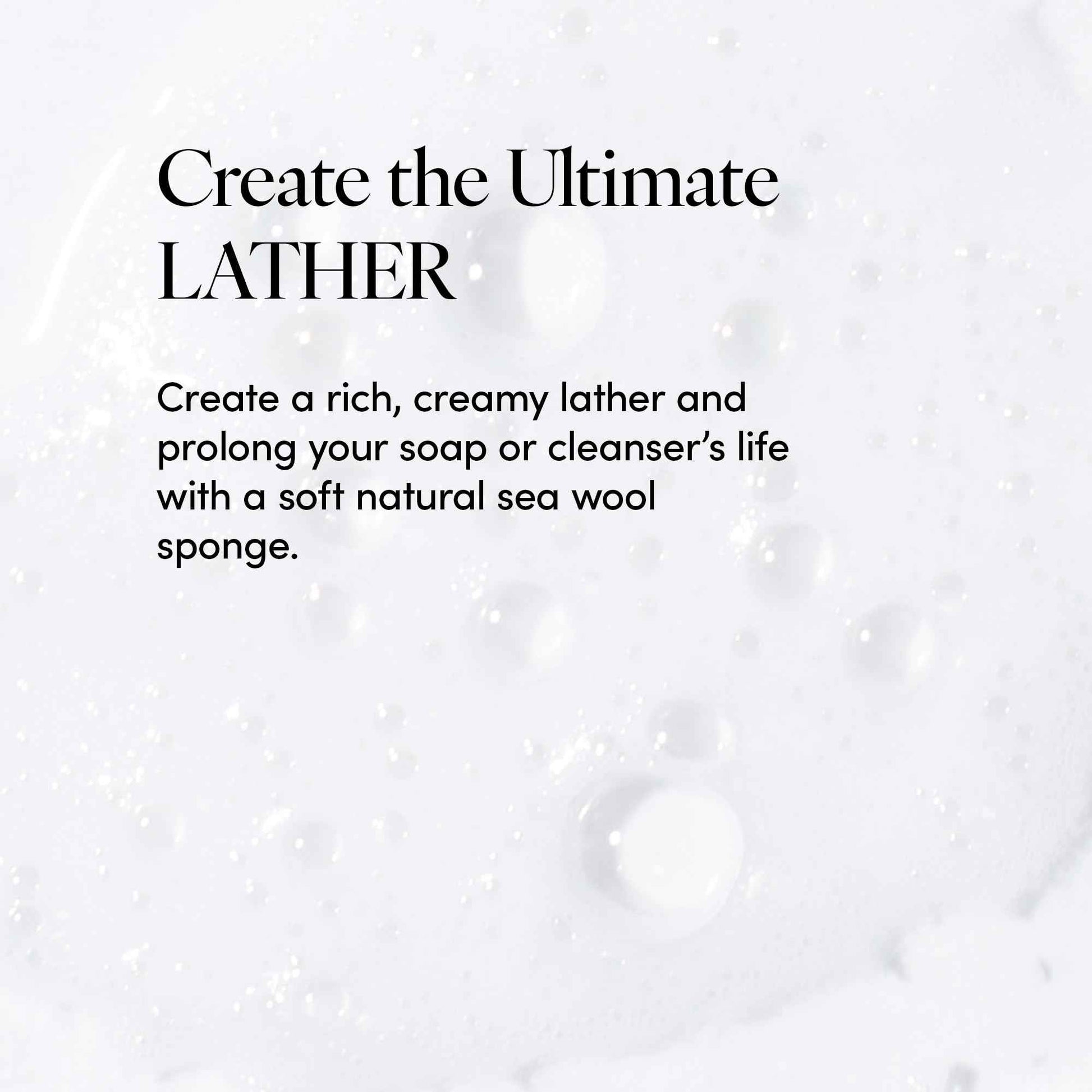 LATHER - Natural Sea Wool Sponge, 5-6" - Organic Exfoliating Body Scrubber - Soft, Gentle Cleansing - Hypoallergenic - All Skin Types - Florida Natural Loofah Sponge - Cruelty Free - Beauty & Skincare