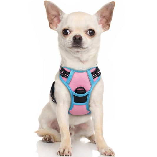 rabbitgoo Dog Harness, No-Pull Pet Harness with 2 Leash Clips, Adjustable Soft Padded Dog Vest, Reflective No-Choke Pet Oxford Vest with Easy Control Handle for Large Dogs, Pink & Blue, X-Small