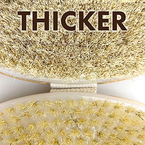 Scala Anti Cellulite and Exfoliator Bundle - Massager and Wet Dry Brush for Body Scrubber, Face and Body Massager, Exfoliates Dead Skin, Improving Circulation
