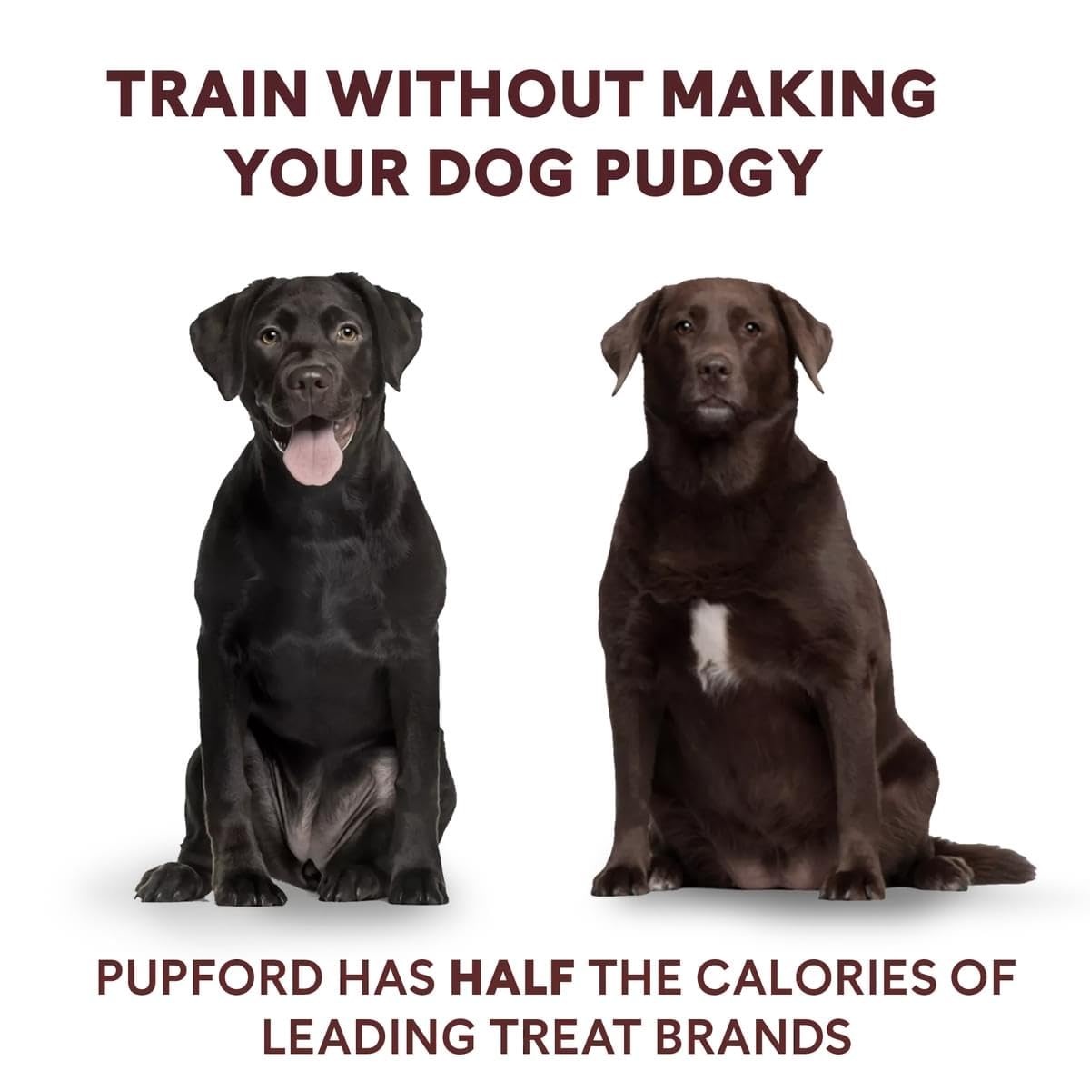 Pupford Freeze Dried Training Treats for Dogs & Puppies, 240+ Four Ingredient Bites (Duck & Veggies, 5 oz)