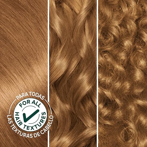 Garnier Nutrisse Ultra Crème Hair Color 73 Dark Golden Blonde - Pack of 2 (Honey Dip Variant)
