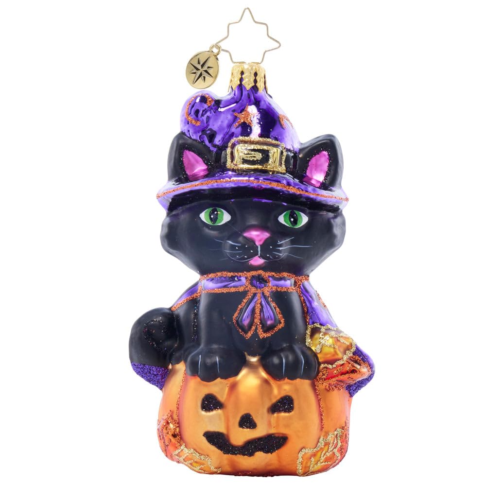 Christopher Radko Hand-Crafted European Glass Halloween Christmas Tree Decorative Ornament, Witchy Whiskers