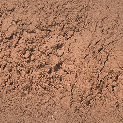 Palladio Brow Powder with Jojoba Oil & Shea Butter, Soft Brown