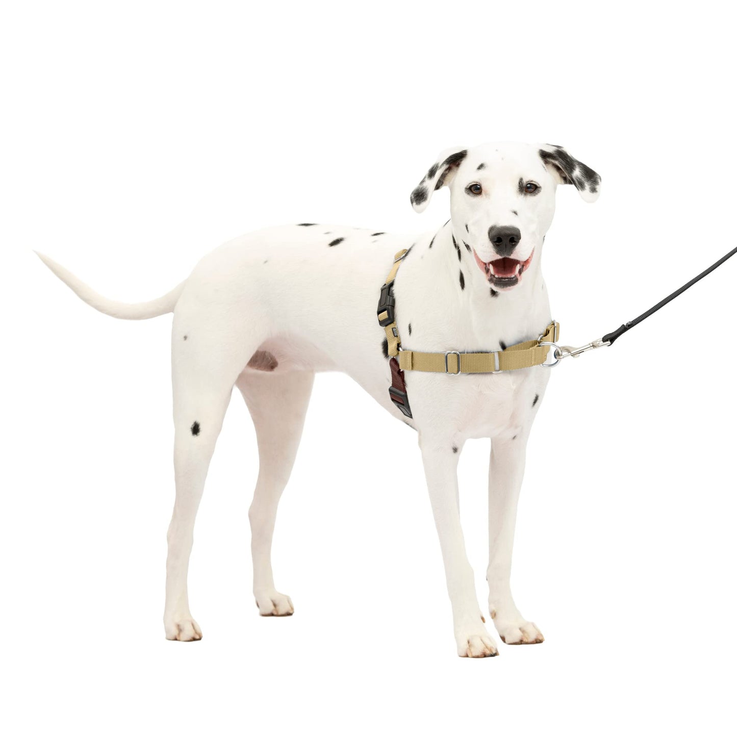 PetSafe Easy Walk Dog Harness - No Pull Dog Harness - Medium/Large, Fawn