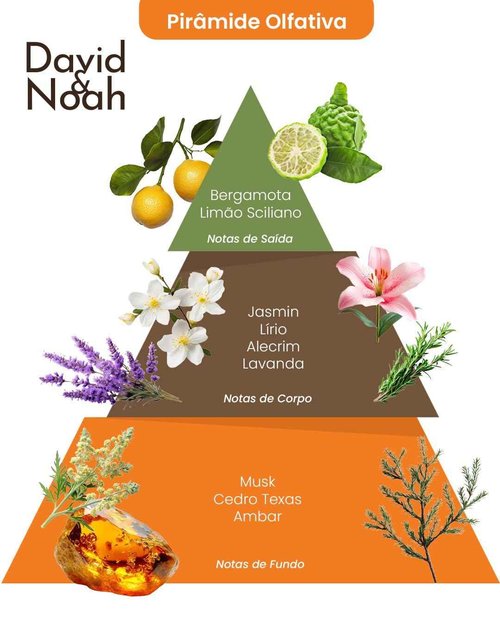 Baby Jolie David & Noah Kids Perfume | Kids Cologne | Fragrance for Toddlers