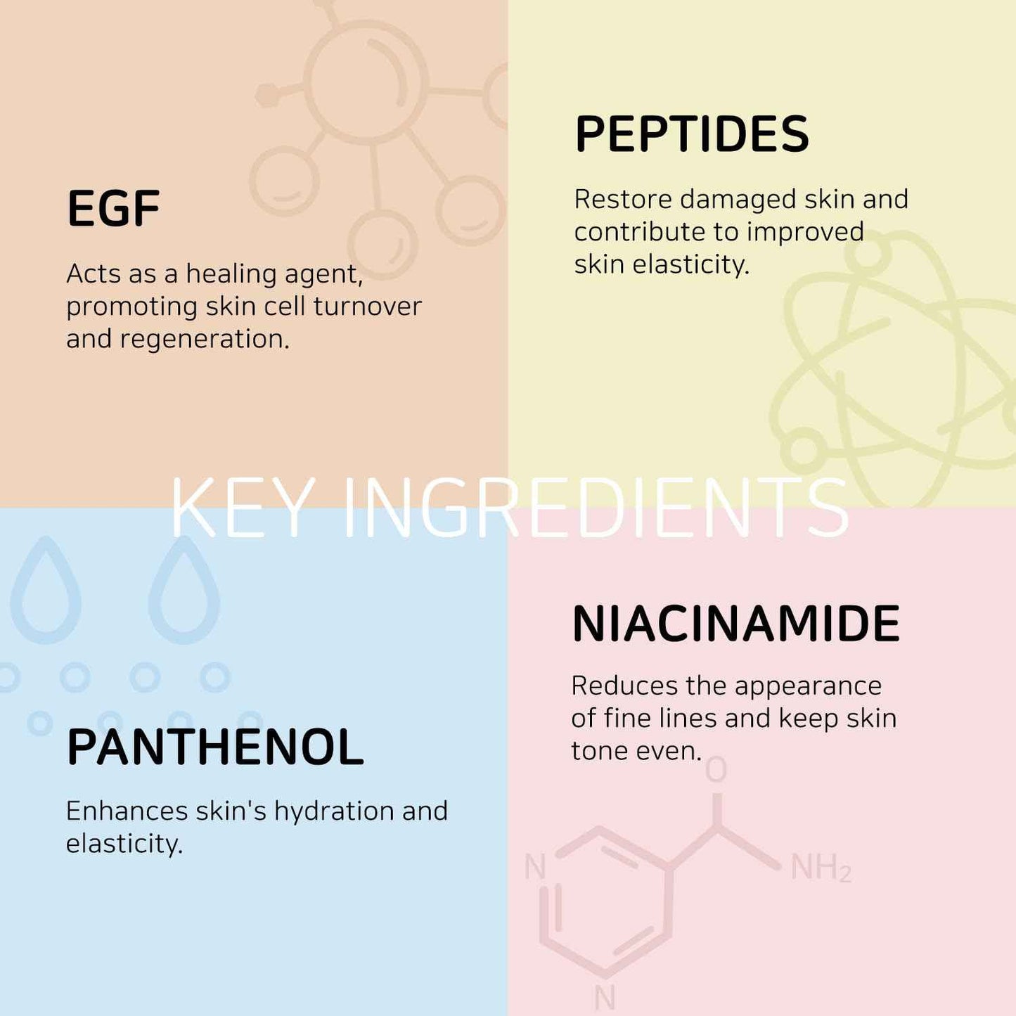 coxir INTENSIVE EGF PEPTIDES CREAM l Day&Night Firming Cream l EGF(Epidermal Growth Factor), Peptides, Niacinamide, Panthenol, Collagen l Korean Skincare [50ml/1.69fl.oz] (Pack of 2)