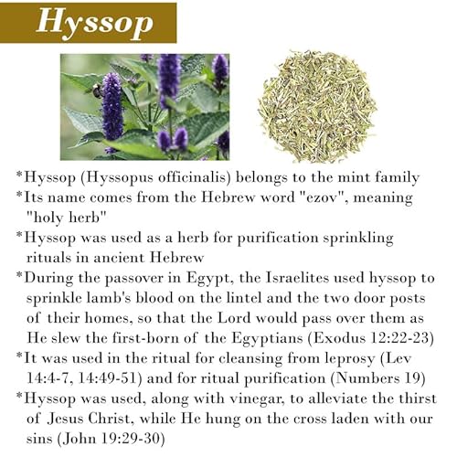 Cleanse Me With Hyssop Natural Soap Bar, Herbal Soap Bar Infused with Hyssop, Myrrh, and Frankincense Fragrance for Refreshing Experience (Myrrh and Frankincense)