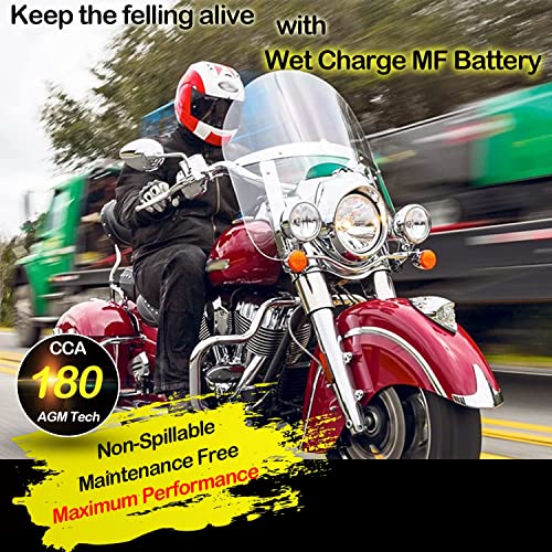 Weize YTX20L-BS High Performance Power Sports- Maintenance Free - Sealed AGM Battery ETX20L BS For Motorcycle ATV UTV snowmobile