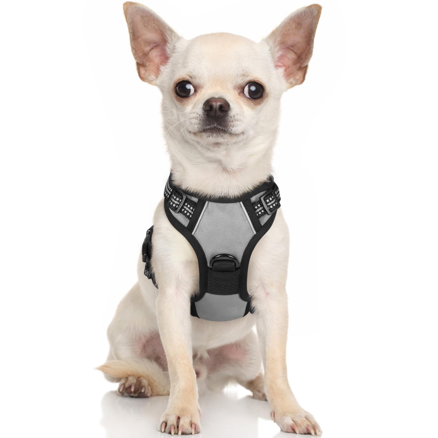 rabbitgoo Dog Harness, No-Pull Pet Harness with 2 Leash Clips, Adjustable Soft Padded Dog Vest, Reflective No-Choke Pet Oxford Vest with Easy Control Handle for Small Dogs, Grey, XS