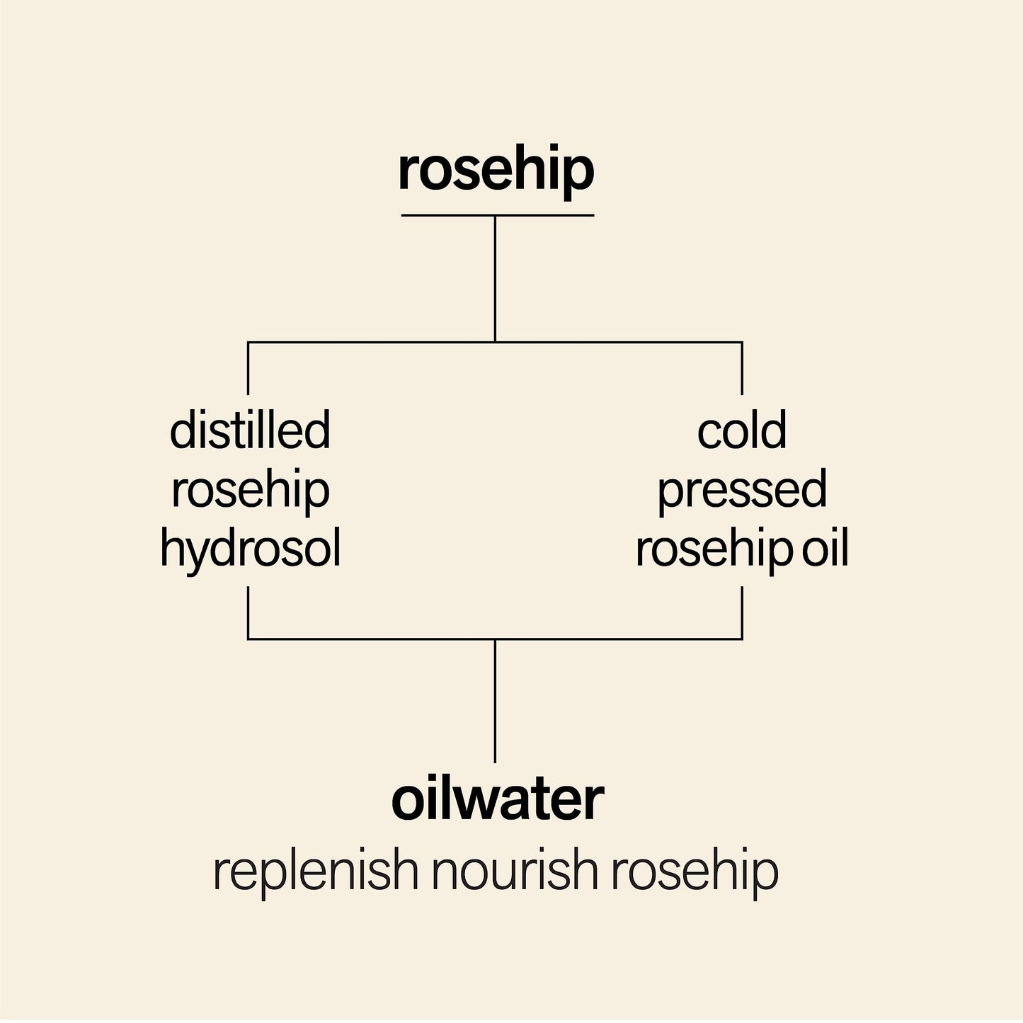 PLANT BEAUTY DISTILLERY Facewater Oilwater Replenish Nourish Rosehip