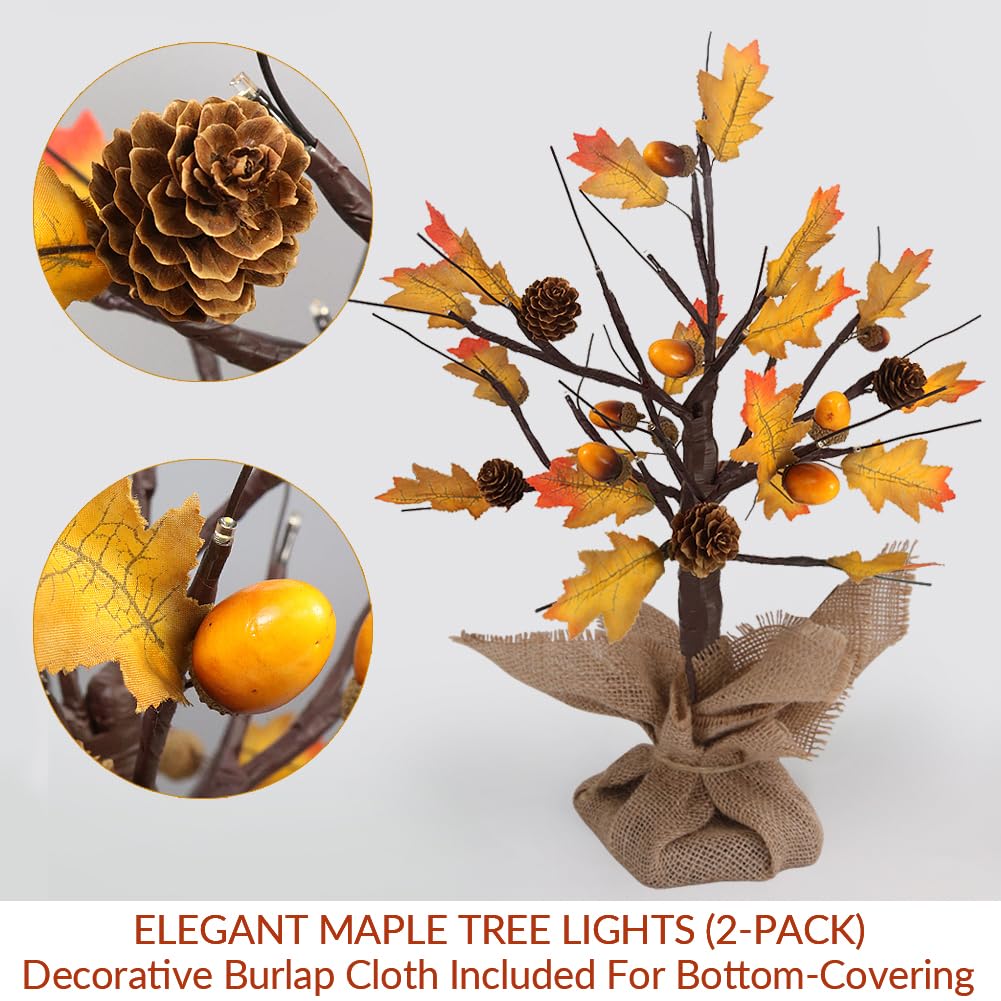 Bright Zeal 2-Pack 19.5" Tall Lighted Maple Tree LED Maple Tree Lights Indoor Battery Operated - Acorns and Pine Cones Decorations Thanksgiving Decorations for Home - Light Up Maple Tree Tabletop