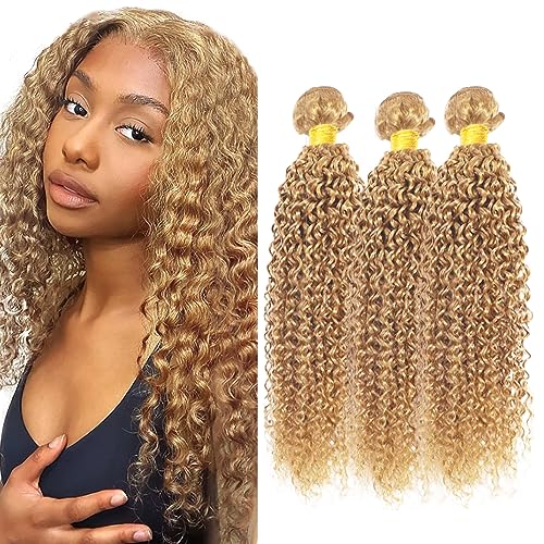 Honey Blonde Kinky Curly Hair Bundles – 330g, 3 Pack (18-22 inch)