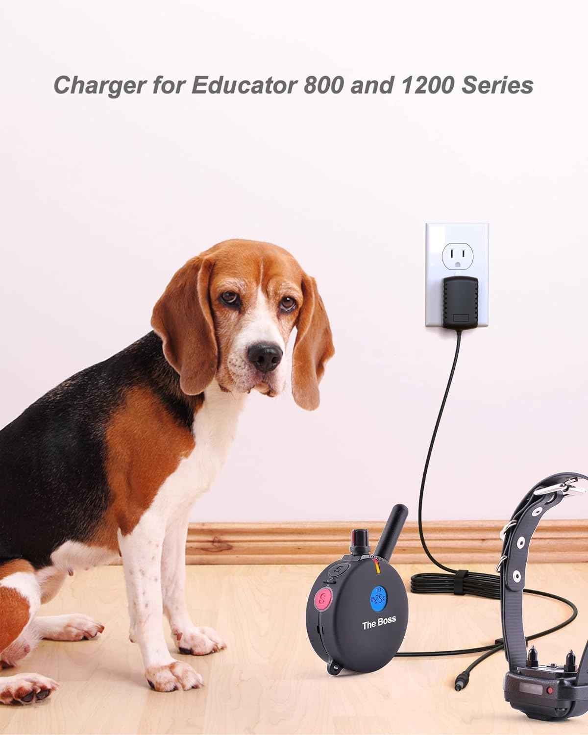 FGIEU Training Collars Charger Compatible with Educator 800 and 1200 Series ET-800, ET-802, K9-800, K9-802, UL-1200, UL-1202, WF-1200, WF-1202 Training Collars.
