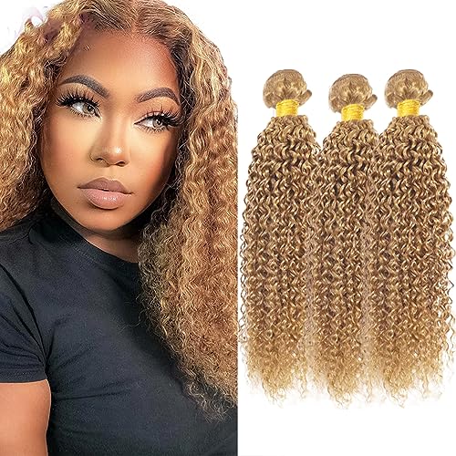AuokMar Honey Blonde Kinky Curly Hair Extensions 27 Golden #27 J / 30-34 Inch 3 Bundles