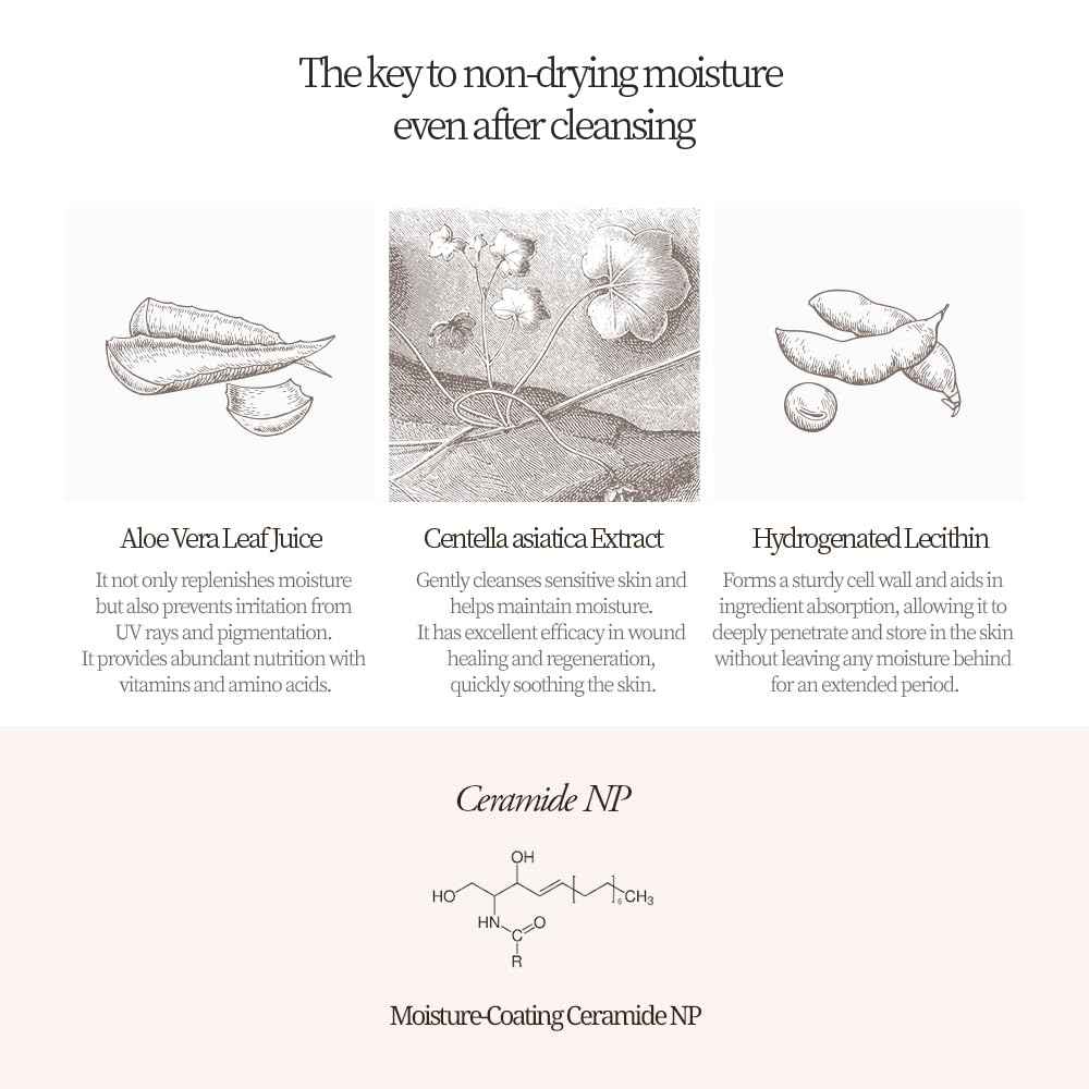 Bueno+ Pure Moonlight Rose Floral Cleanser | Anti-Aging Gentle Face Wash with Rose Petals for All Skin | Exfoliating and Moisturizing | Vegan Gel Rich in Antioxidantsl 5.03 fl.oz