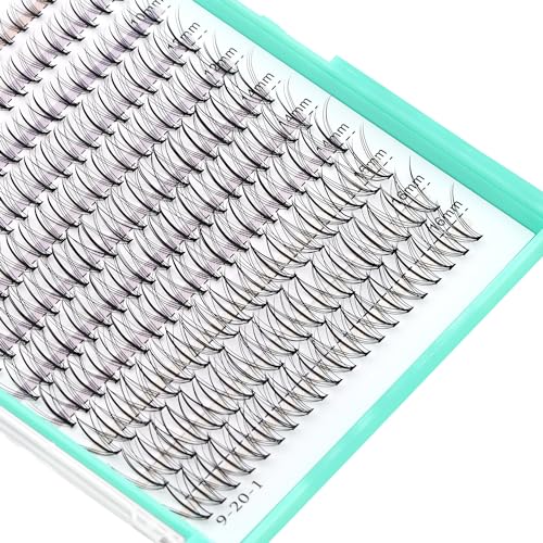 Bodermincer Black/Colored Cluster Lashes 240pcs 20D/40D DIY Eyelash Extension D Curl Long Individual Lashes Mixed Tray Faux Mink Lash Clusters Extensions 8-22mm (7D 8-10-12-14-16mm MIX)