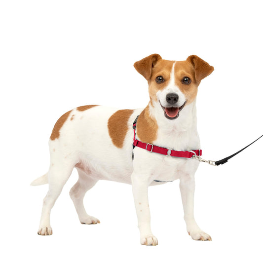 PetSafe Easy Walk No-Pull Dog Harness - The Ultimate Harness to Help Stop Pulling - Take Control & Teach Better Leash Manners - Helps Prevent Pets Pulling on Walks, Small, Red/Black