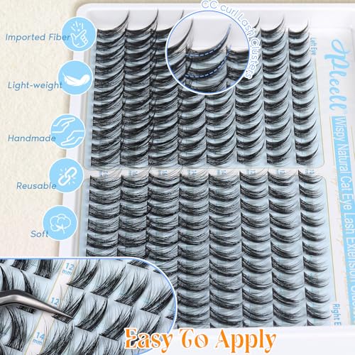 Wispy Cat Eye Lash Clusters - 176PCS DIY Eyelash Extensions 10-16MM