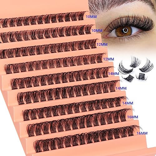 DD Curl Lash Clusters 10-16mm Wispy Eyelash Extensions