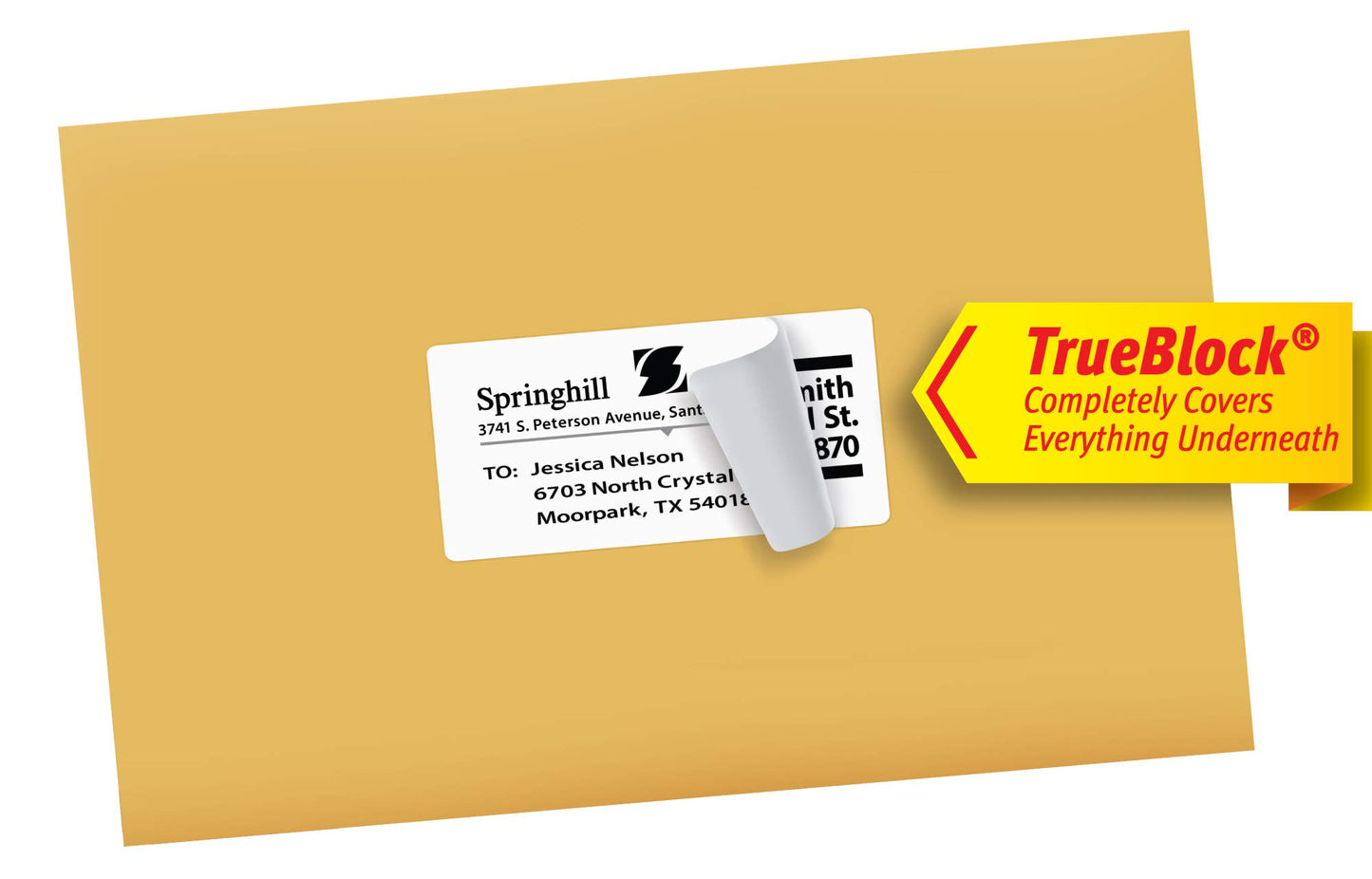 Avery Printable Shipping Labels with Sure Feed, 2" x 4", White, 250 Blank Mailing Labels (8163)