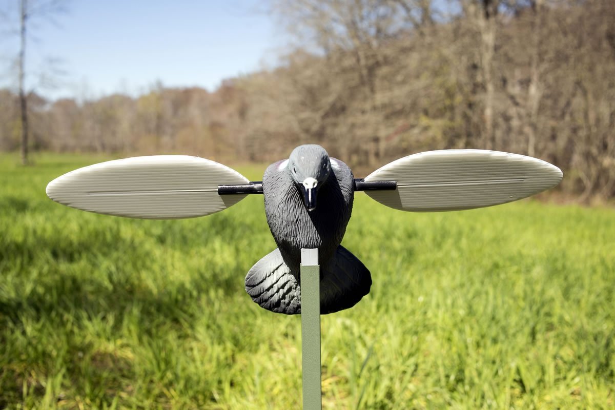 MOJO Pigeon Spinning Wing Dove Decoy for Dove Hunting