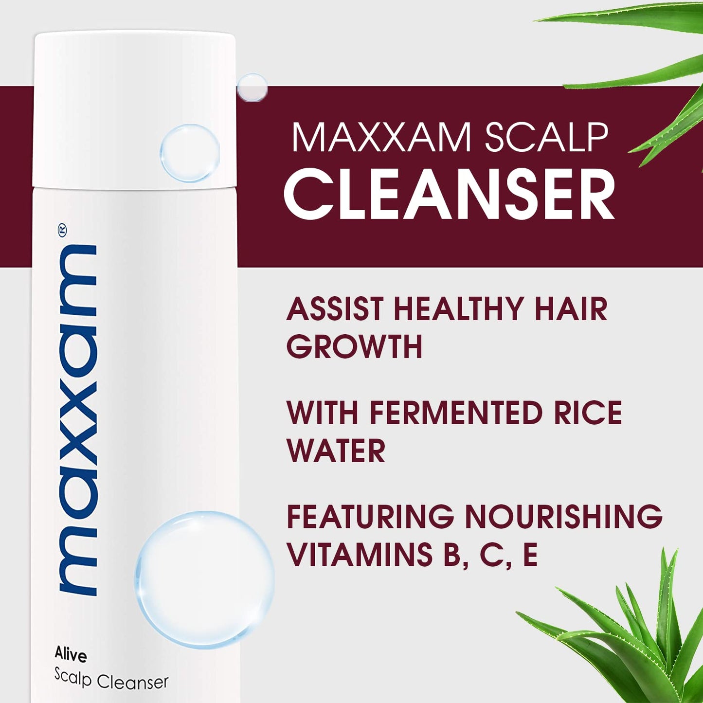 Maxxam Alive Cleansing Shampoo for Hair Growth and Scalp Care, Fermented Rice Shampoo for Clean and Youthful Hair, 10 Fl Oz