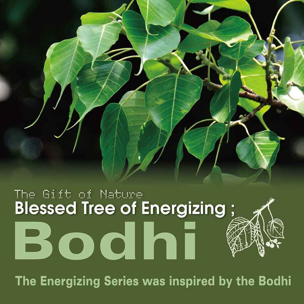 Chihtsai Energizing Shampoo (15.6oz/460ml) - Moisturize hair and Eliminate frizz and static