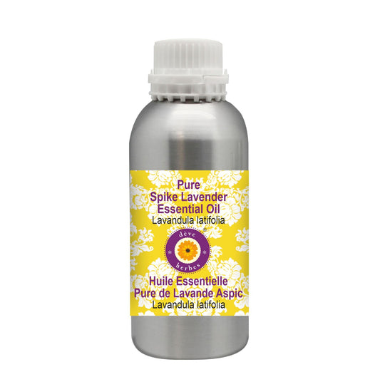 Deve Herbes Pure Spike Lavender Essential Oil (Lavandula latifolia) Steam Distilled 630ml (21 oz)