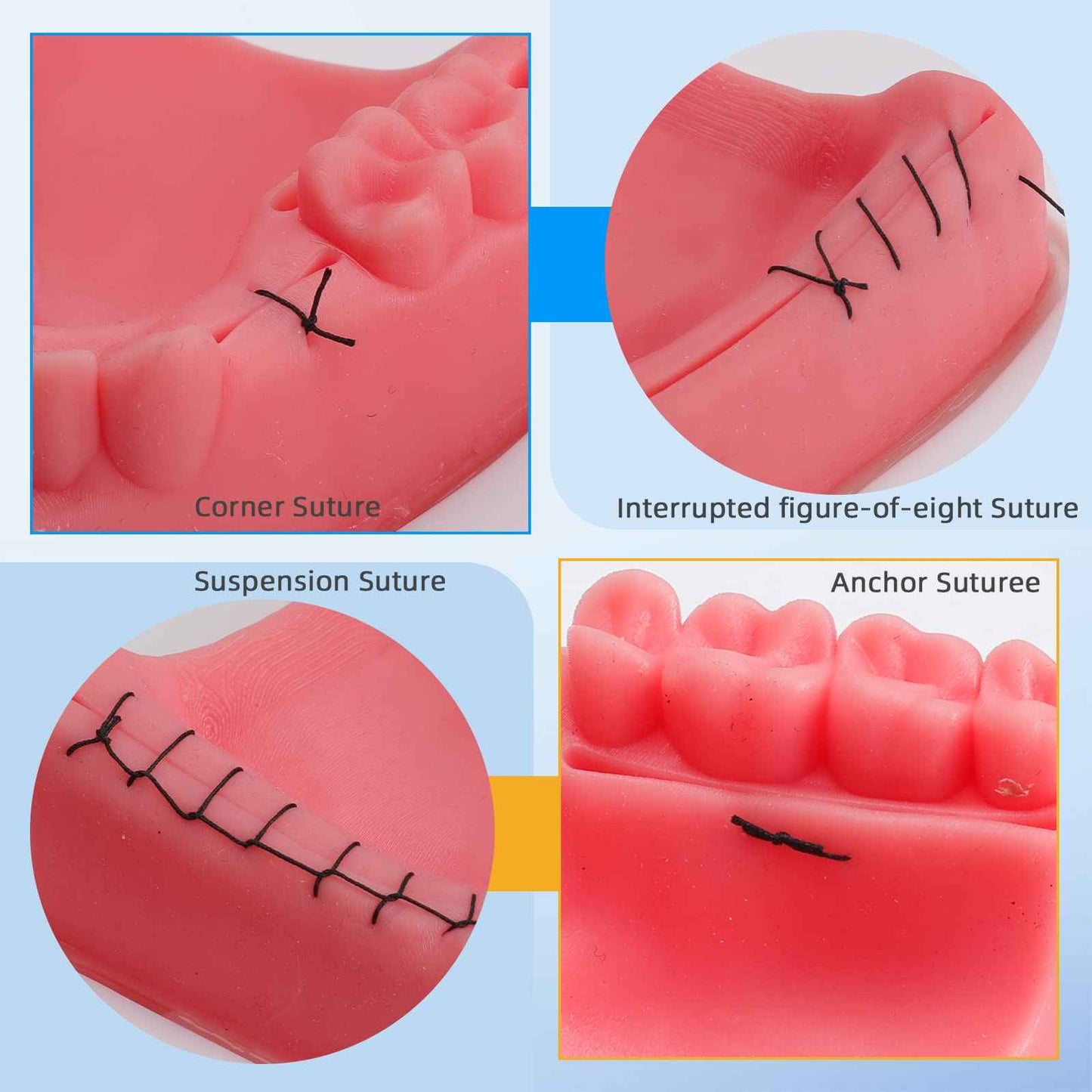 faruijie Dental Practice Kit - 25 Pcs Set Oral Practice Kit Include 4 Soft Silicone Oral Pad Training Kit for Dentist Assistant Training & Student Practice