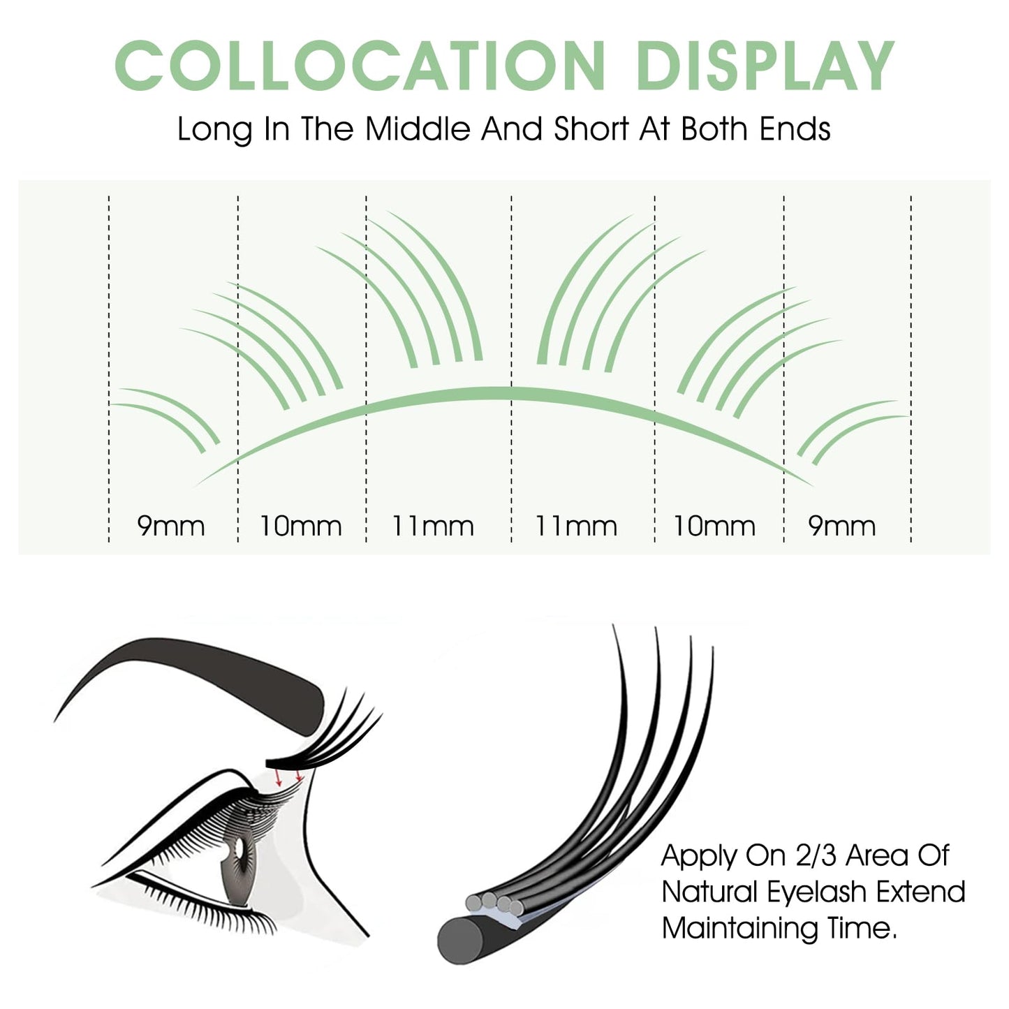 NATUHANA W Shaped Clover Eyelashes Extension 4D Premade Fans 0.07mm D Curl 12mm Single Size Tray Volume Lash Cluster W Lashes Supplies Automatic Blooming Flower Lash Extensions (12mm, 4D black;0.07 D)