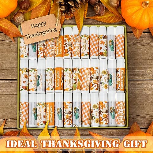 25 Pcs Thanksgiving Christmas Party Gifts Bulk Thanksgiving Lip Balms Favors Holiday Basket Stuffers Christmas Stocking Stuffers Small Thank You Gifts for Women Men (Honey Flavor)