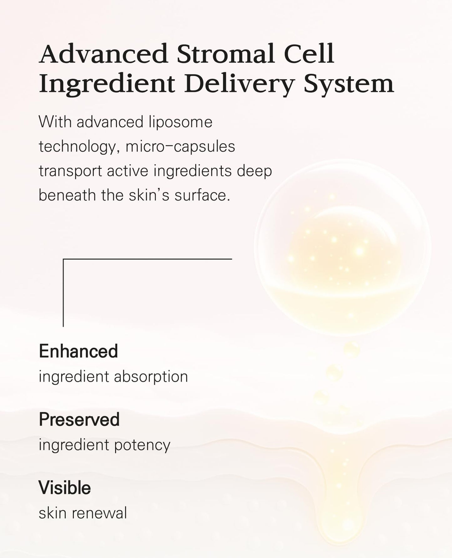 BLANC DUBU Nuborn Cell Hydrogel Collagen Mask | Hydrating Face Masks with Peptides & Hyaluronic Acid | Collagen Face Mask Overnight for Glass Skin | Face Masks Korean (4-Pack)