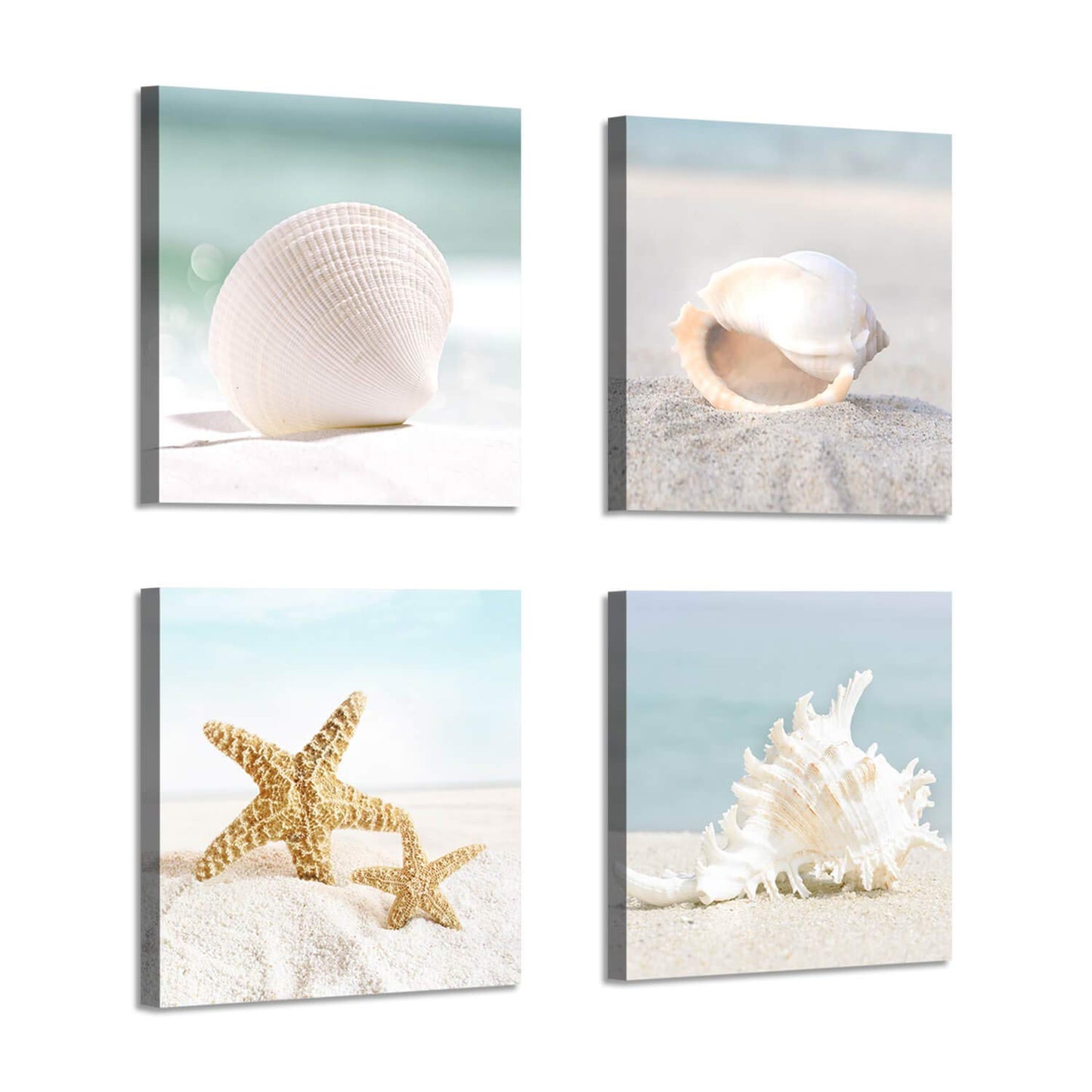 ARTISTIC PATH Starfish & Seashells Canvas Wall Art: Sandy Beach Seaside Graphic Artwork for Bathroom (12" W x 12" H x 4 PCS,Multi-Sized)