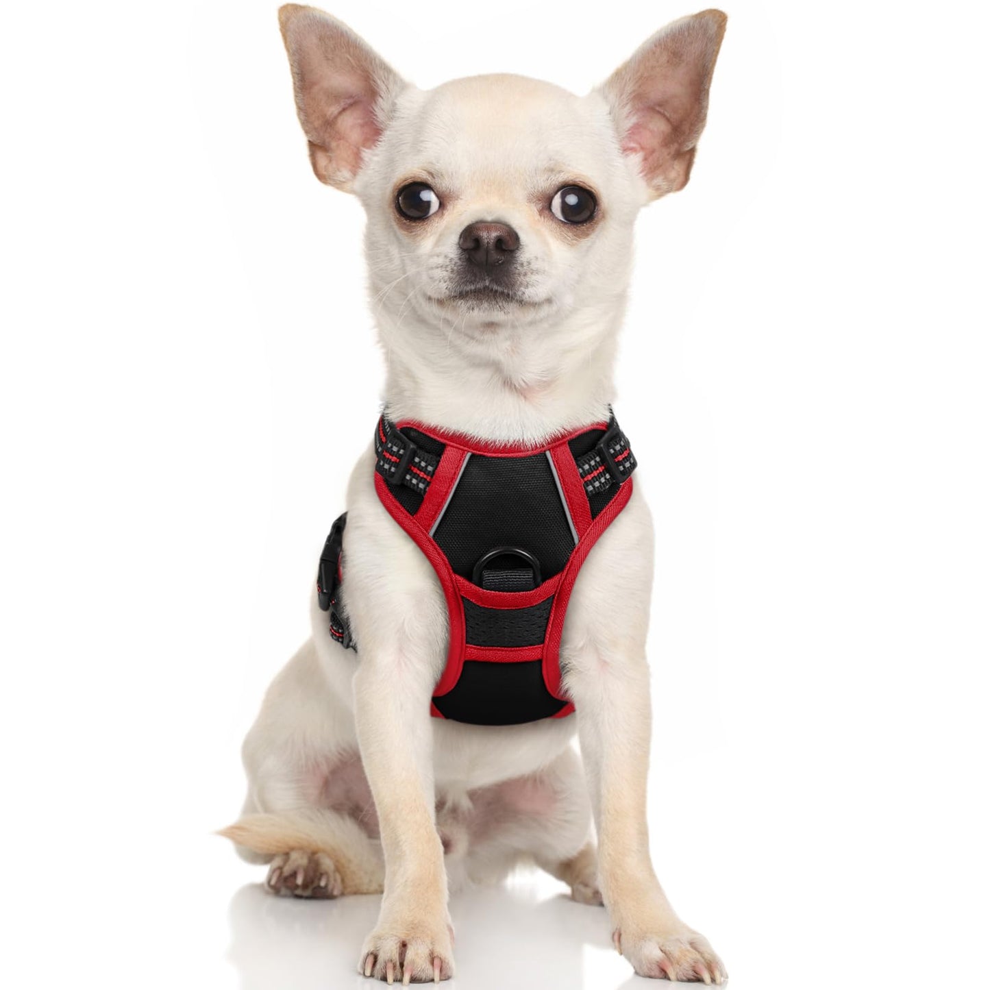 rabbitgoo Dog Harness, No-Pull Pet Harness with 2 Leash Clips, Adjustable Soft Padded Dog Vest, Reflective No-Choke Pet Oxford Vest with Easy Control Handle for Large Dogs, Black & Red, X-Small