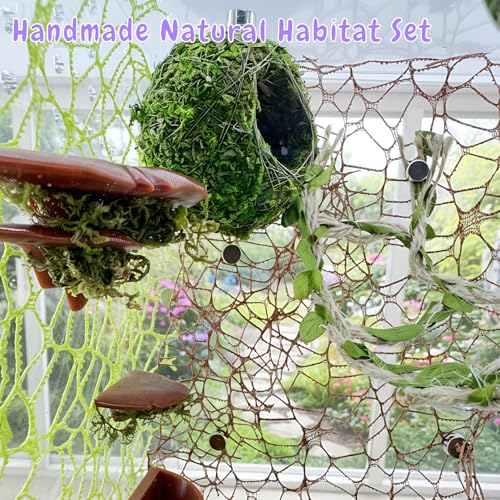 Jumping Spider Hideout & Rope Bridge Decor Set