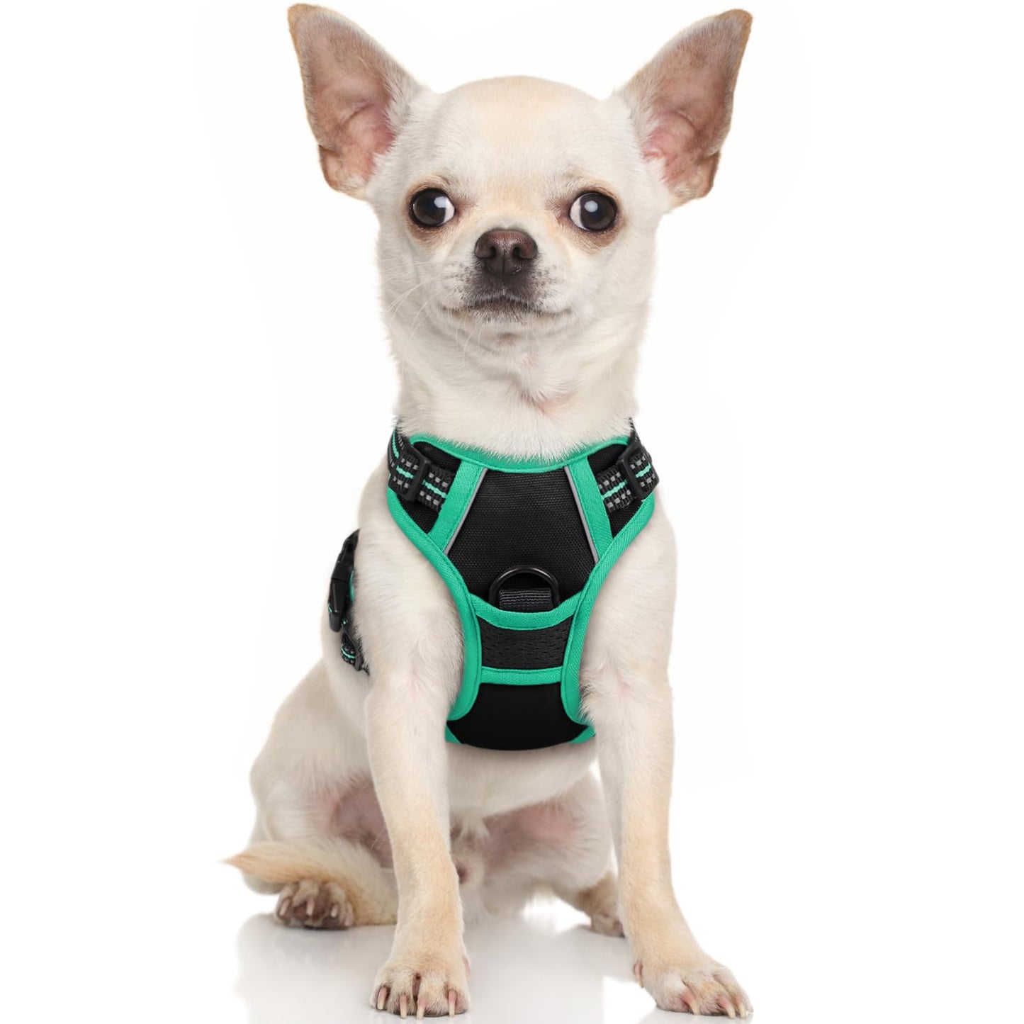 rabbitgoo Dog Harness, No-Pull Pet Harness with 2 Leash Clips, Adjustable Soft Padded Dog Vest, Reflective No-Choke Pet Oxford Vest with Easy Control Handle for Large Dogs, Black & Turquoise, X-Small