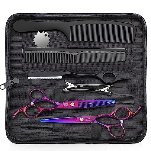 JASON 10-Piece Hair Cutting Scissors Set - Professional Barber Shears