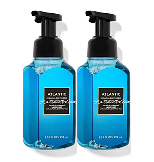 Bath and Body Works Gentle Foaming Hand Soap 8.75 Ounce 2-Pack (Berry Waffle Cone)