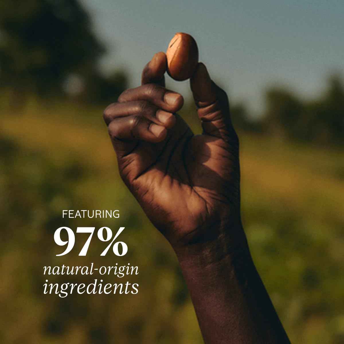 L'Occitane Shea Butter Hands & Body Verbena Extra-Gentle Lotion 10.10 fl. oz