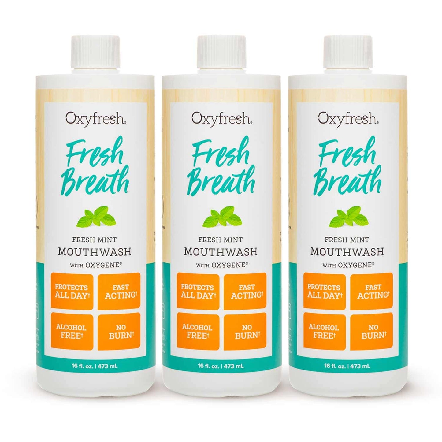 Oxyfresh Fresh Breath Fresh Mint Mouthwash – Dentist Recommended for Long-Lasting Fresh Breath & Healthy Gums | Alcohol & Fluoride Free (3-16 oz Bottles)