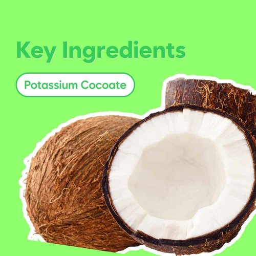 ChungMiJung Alkalescent Aloe Cleansing Foam, Deep Cleansing Foam, Blackhead Remover,Mildly Alkaline, Potassium Cocoate, All Skin Types, Korean Skin Care 6.7 fl.oz / 200ml