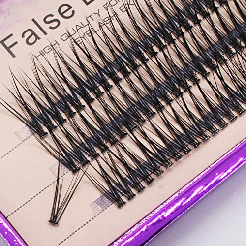 Bodermincer 12D Fishtail Lash Clusters D Curl 120pcs Natural Wispy Eyelashes Extensions (14mm)