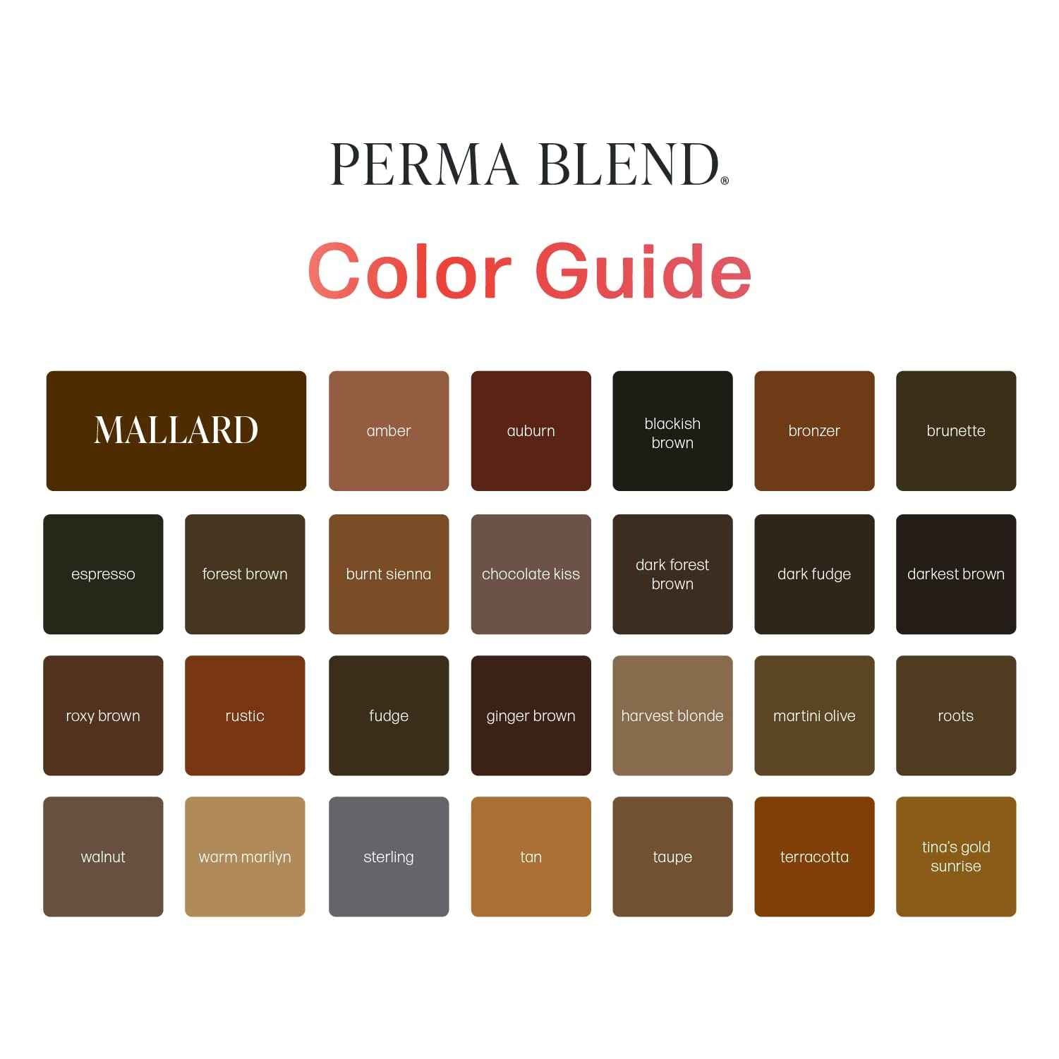 Perma Blend - Blended Black - Microblading Ink for Permanent Eyeliner - Professional Tattoo Ink - Black Tattoo Ink Makeup - Vegan (0.5 oz)