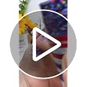 Patriotic Red White Blue Glitter Stick - 4th of July Makeup
