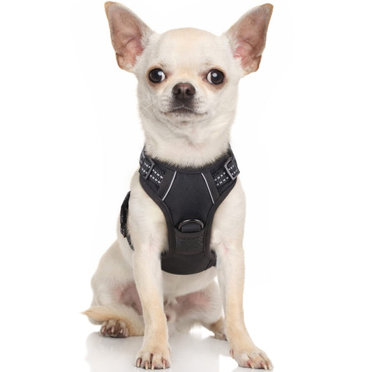 rabbitgoo Dog Harness, No-Pull Pet Harness with 2 Leash Clips, Adjustable Soft Padded Dog Vest, Reflective No-Choke Pet Oxford Vest with Easy Control Handle for Small Dogs, Black, X-Small