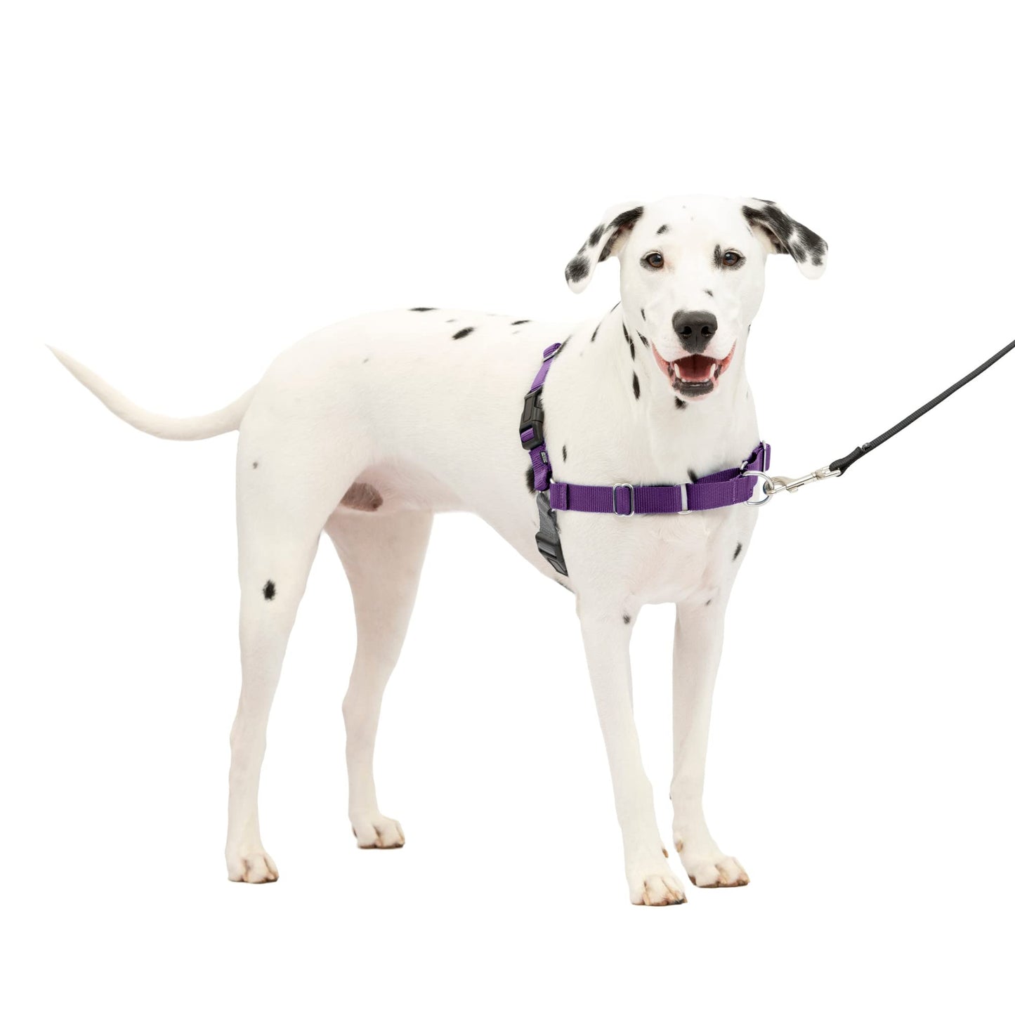 PetSafe Easy Walk No-Pull Dog Harness - The Ultimate Harness to Help Stop Pulling - Take Control & Teach Better Leash Manners - Helps Prevent Pets Pulling on Walks, Medium/Large, Deep Purple/Black