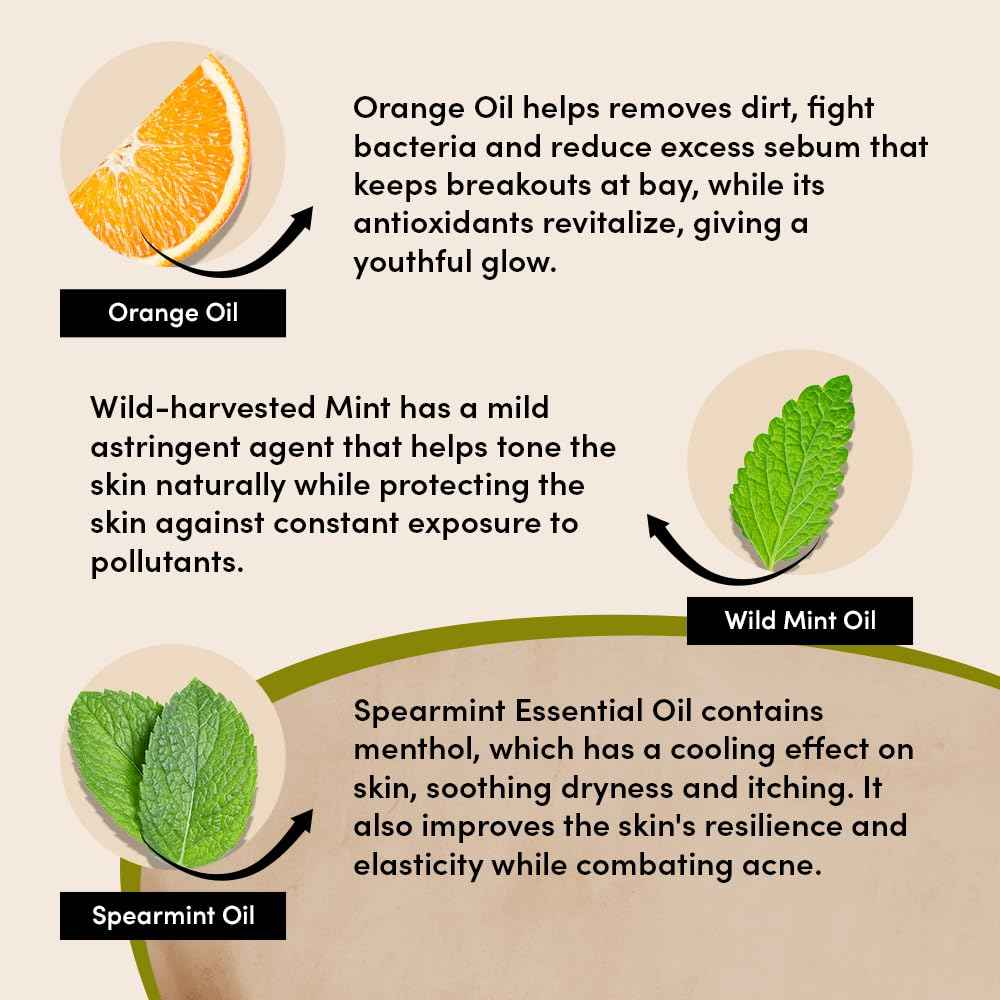 UrbanVeda Purifying Protecting Night Cream | 1.70 FL oz