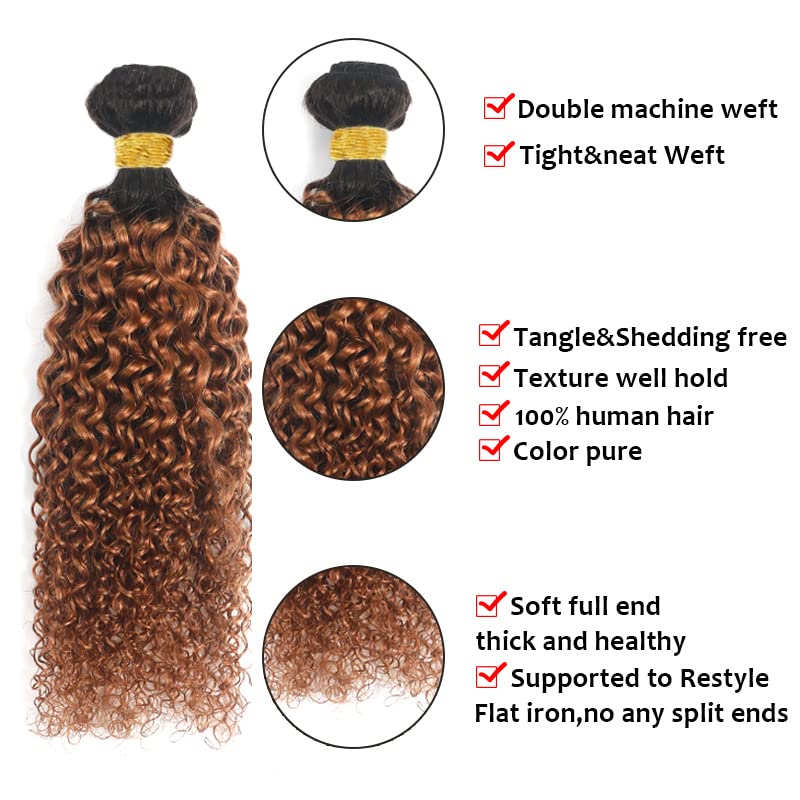T1B30 Curly Wave Human Hair Bundles 18-22 Inch
