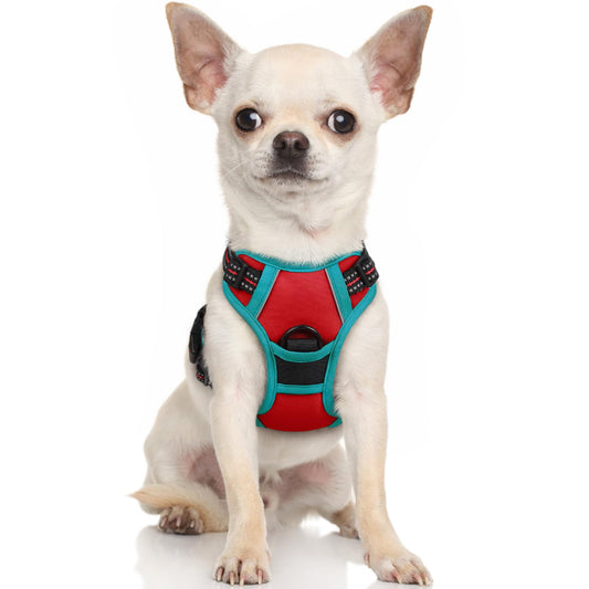 rabbitgoo Dog Harness, No-Pull Pet Harness with 2 Leash Clips, Adjustable Soft Padded Dog Vest, Reflective No-Choke Pet Oxford Vest with Easy Control Handle for Large Dogs, Red & Teal, X-Small