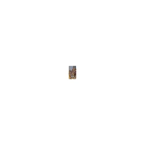 SEACRET Dead Sea Reviving Cleansing Gel - Gentle Facial Cleanser with Fruit AHAs & Minerals, Hydrating Foaming Face Wash, Naturally Scented with Lavender & Sage, All Skin Types, 3.4 fl oz